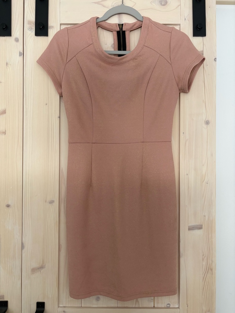 Romeo & Juliet Couture Sparkly Dusty Rose Short Sleeve Sheath Dress
